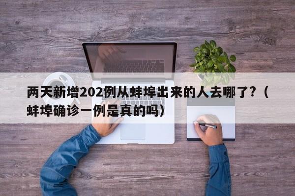 两天新增202例从蚌埠出来的人去哪了?(蚌埠确诊一例是真的吗)