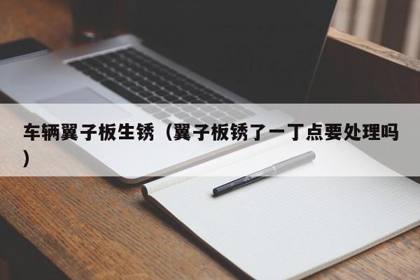 车辆翼子板生锈(翼子板锈了一丁点要处理吗)