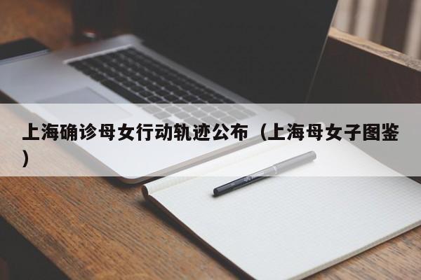 上海确诊母女行动轨迹公布(上海母女子图鉴)