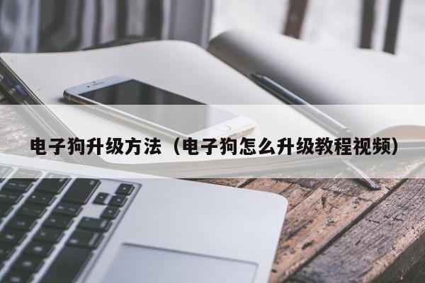 电子狗升级方法(电子狗怎么升级教程视频)